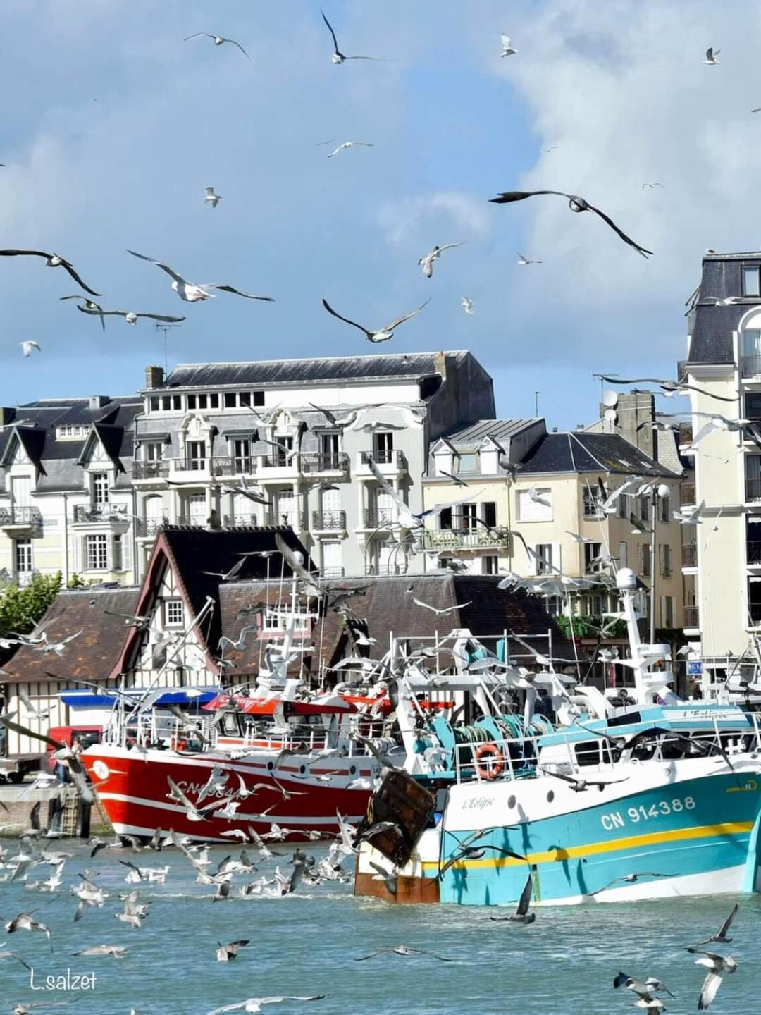 Studio de charme à Trouville sur mer. Extérieur photo